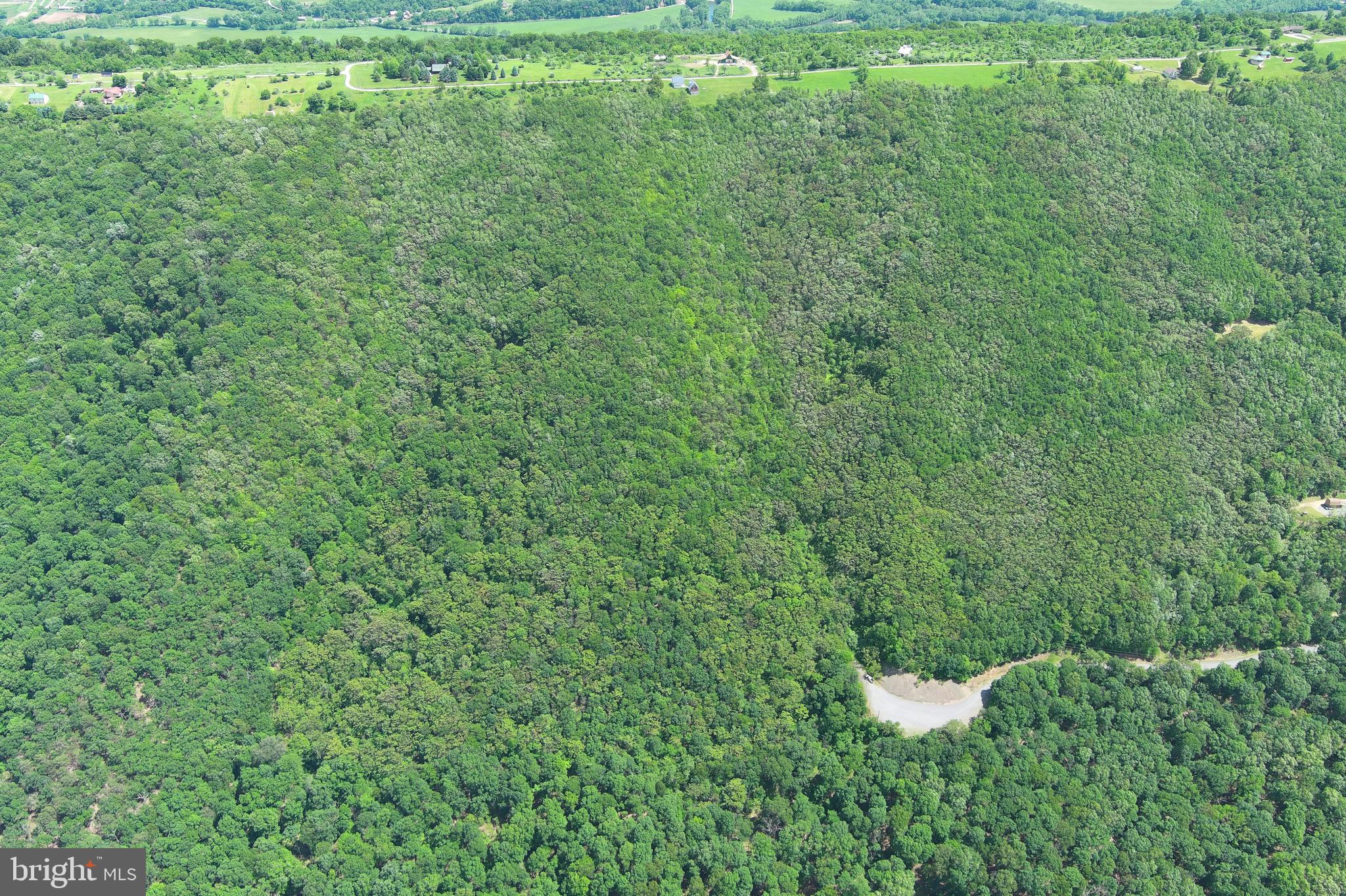 HAMILTON ESTATES - Land