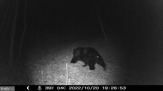 HAMILTON ESTATES - Land