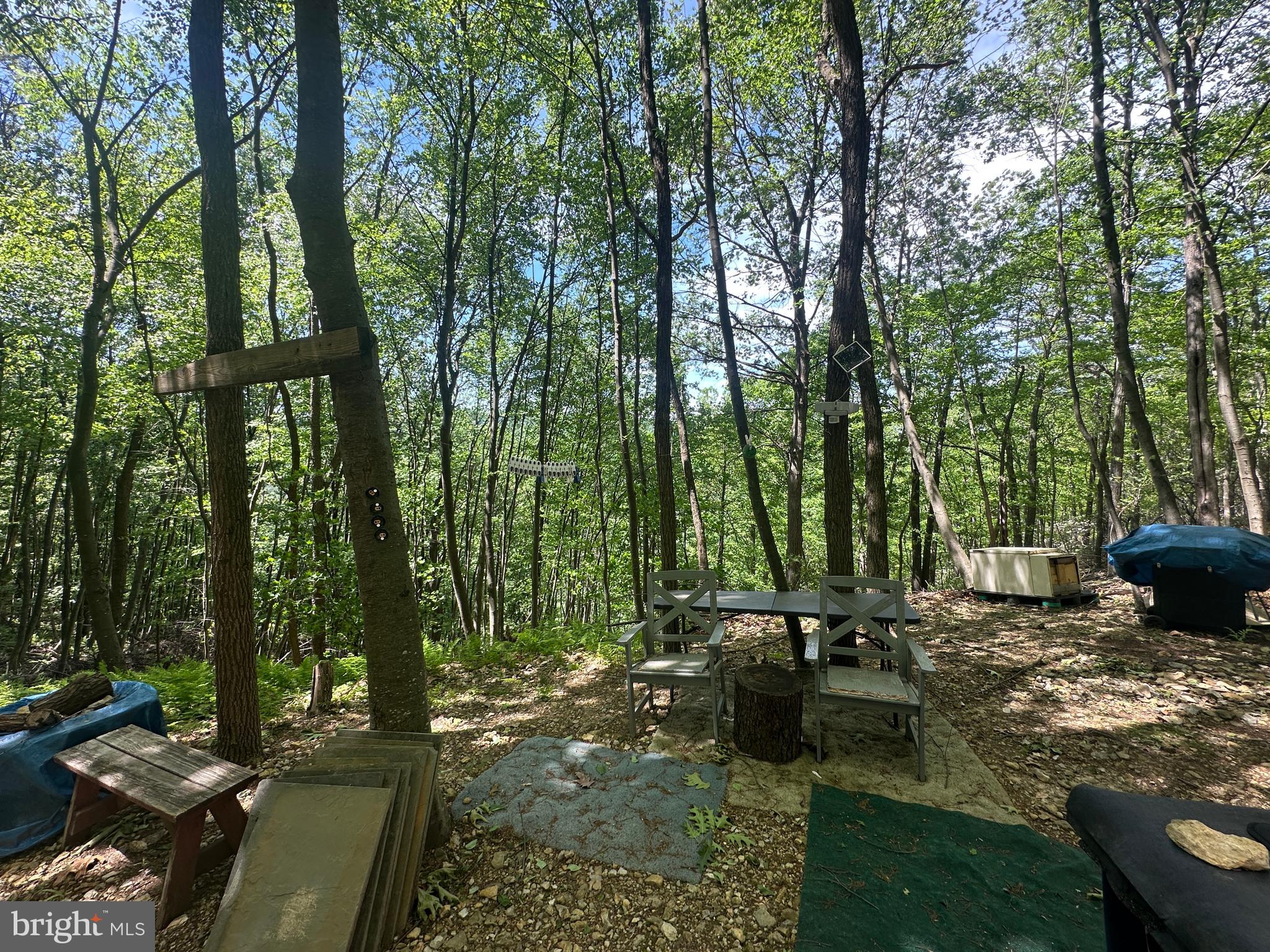 HAMILTON ESTATES - Land