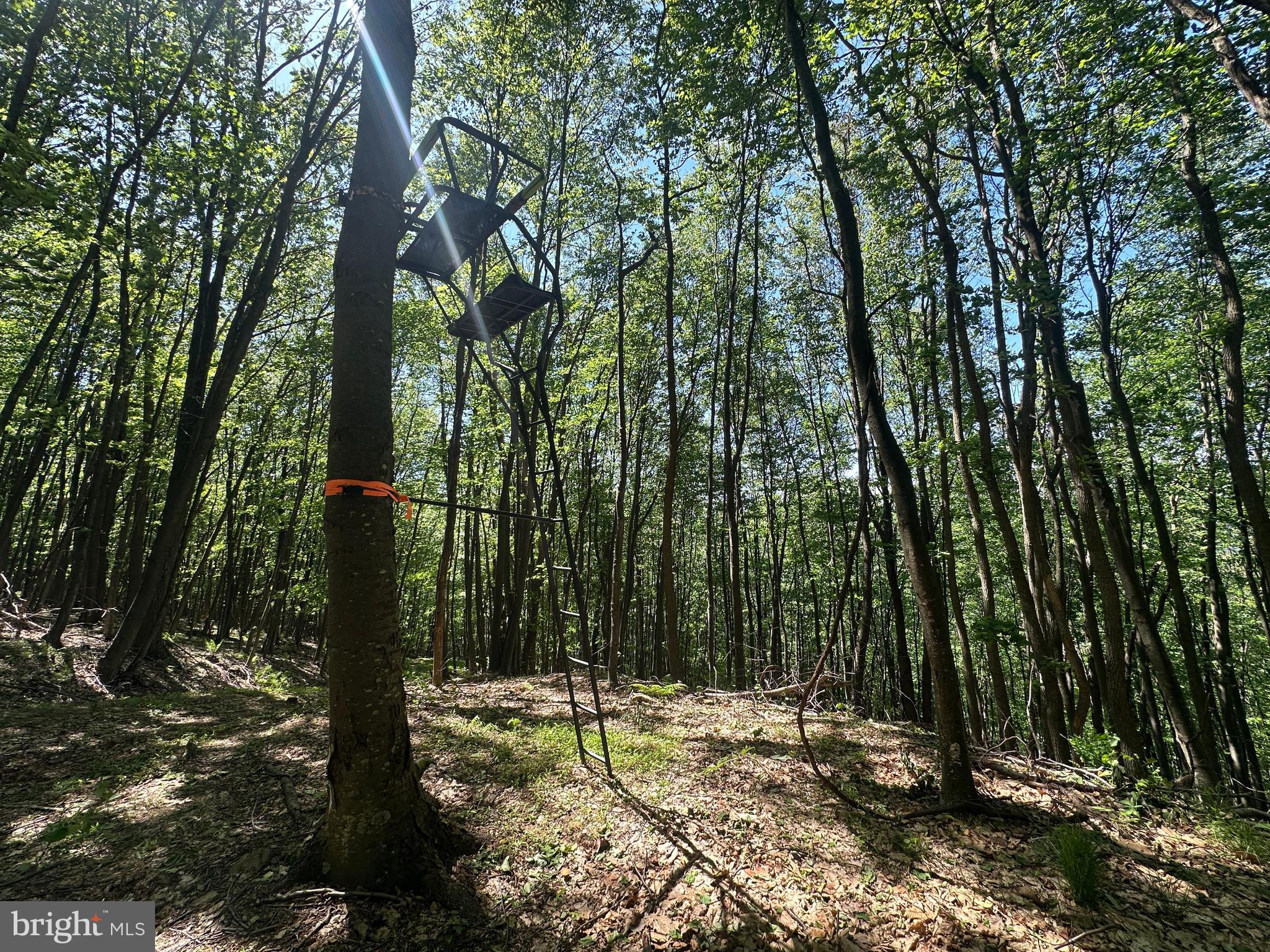 HAMILTON ESTATES - Land