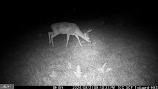 HAMILTON ESTATES - Land