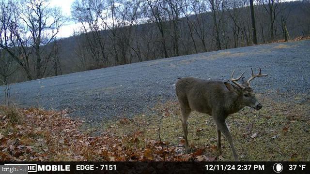 HAMILTON ESTATES - Land