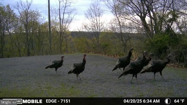 HAMILTON ESTATES - Land