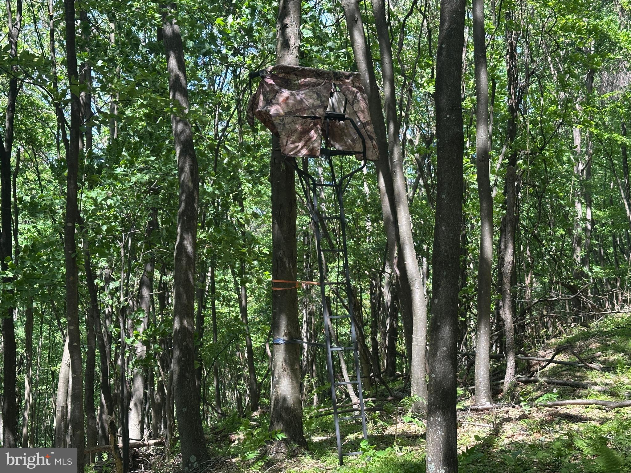 HAMILTON ESTATES - Land