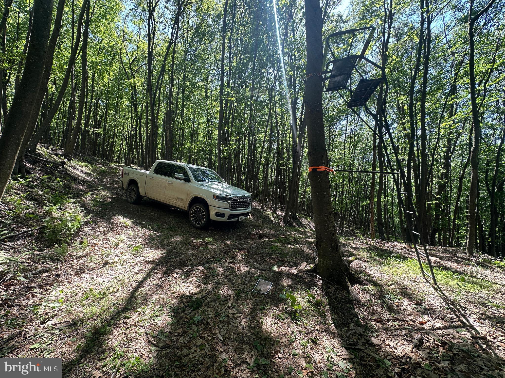 HAMILTON ESTATES - Land