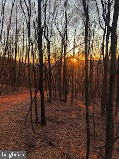 HAMILTON ESTATES - Land