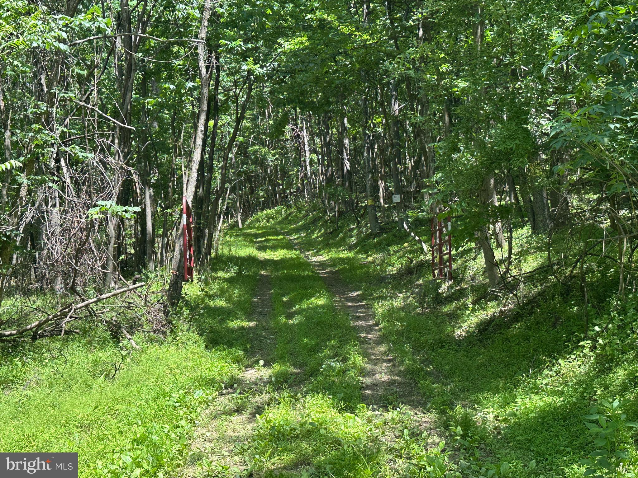 HAMILTON ESTATES - Land