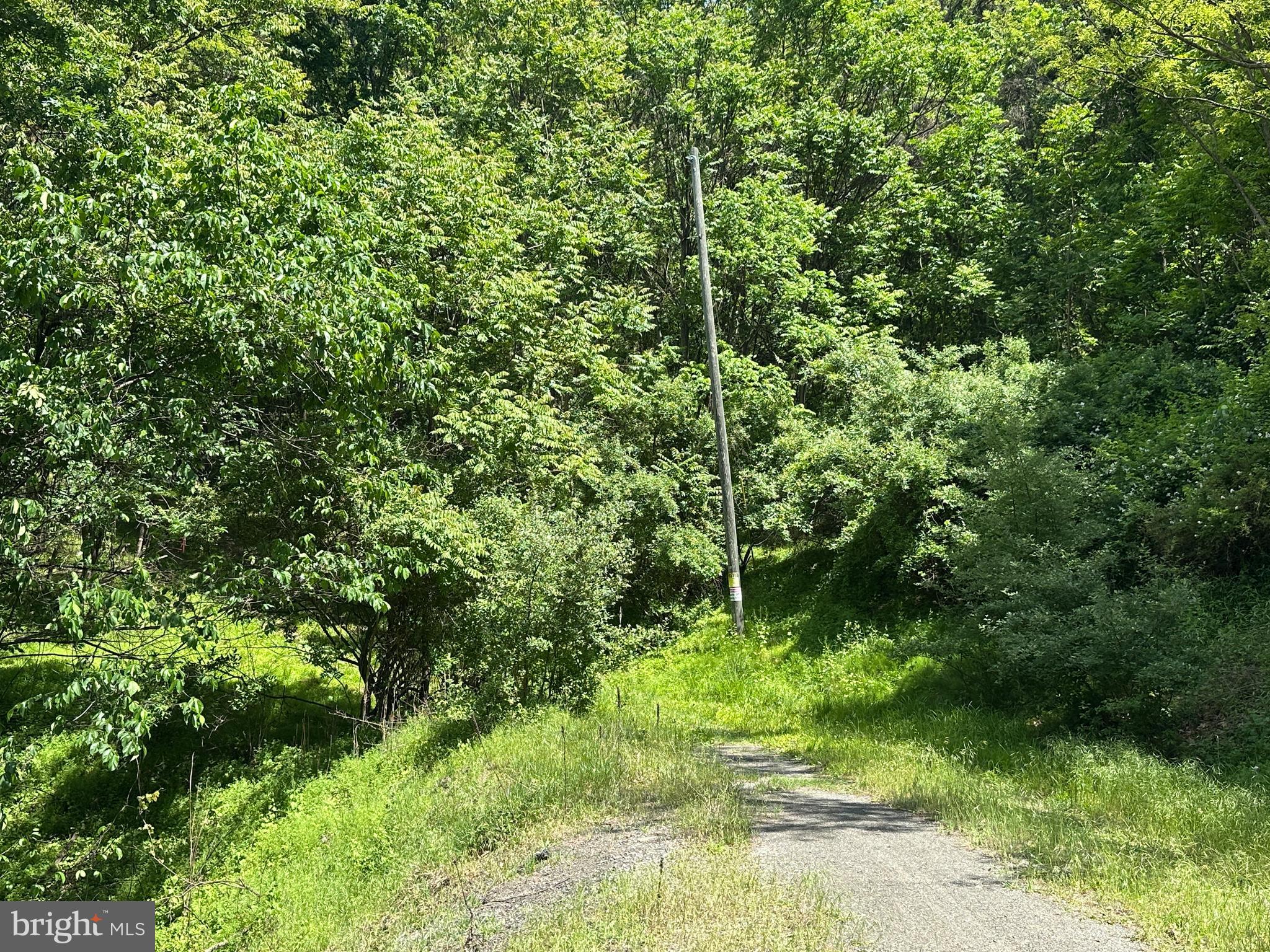 HAMILTON ESTATES - Land