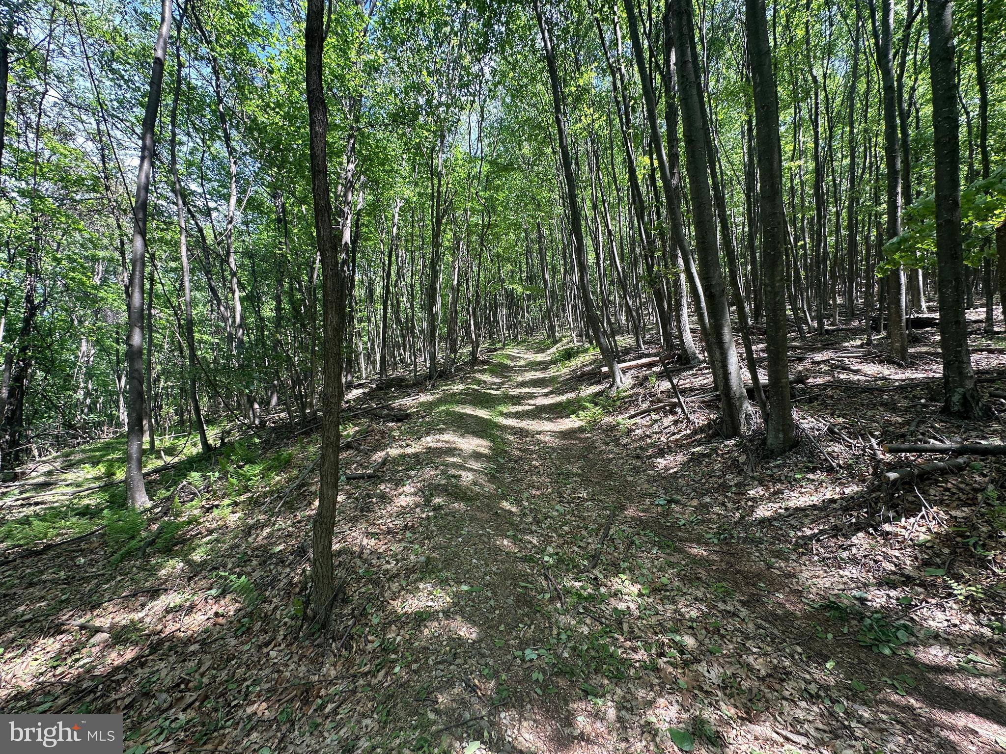 HAMILTON ESTATES - Land