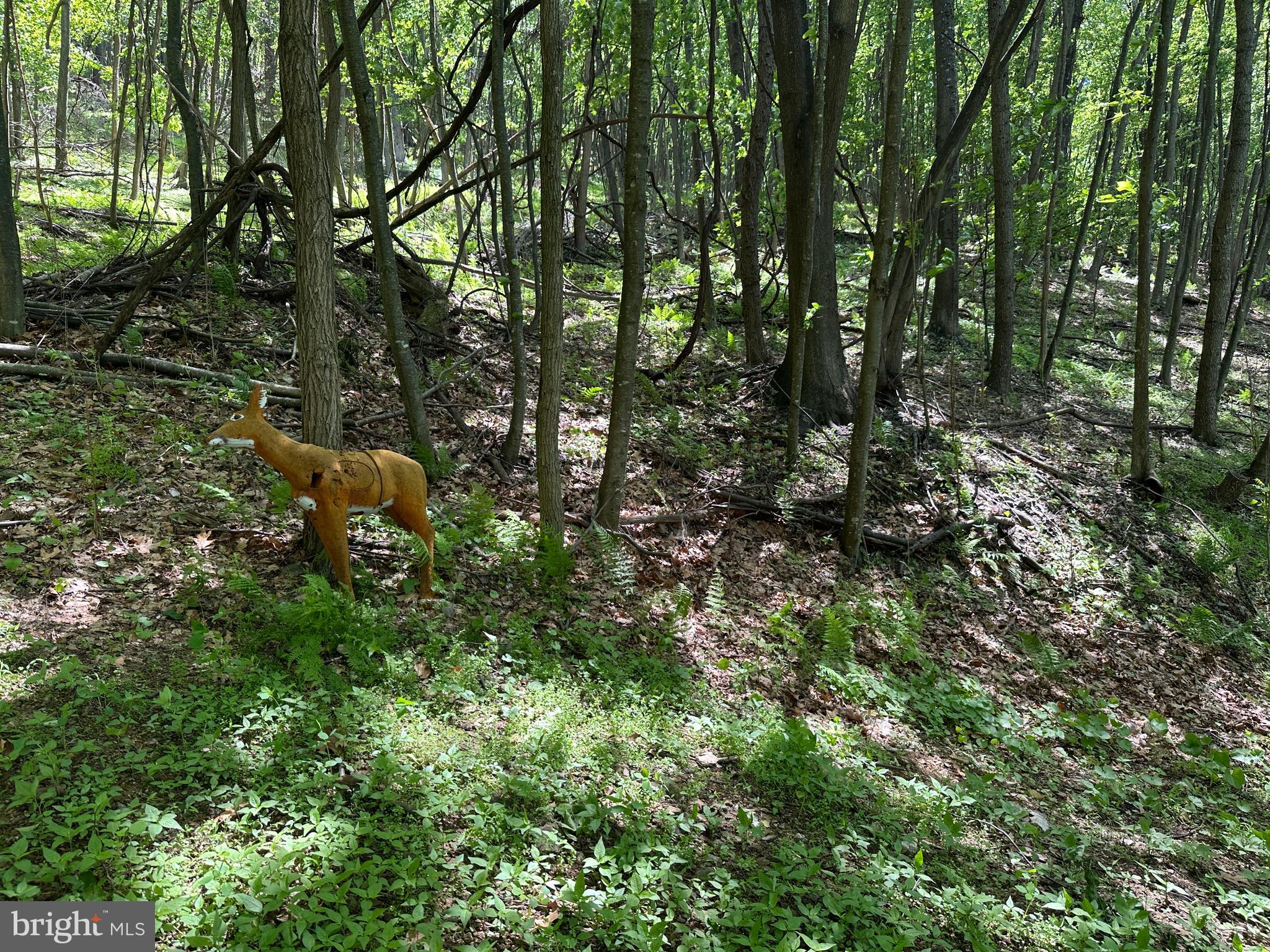 HAMILTON ESTATES - Land