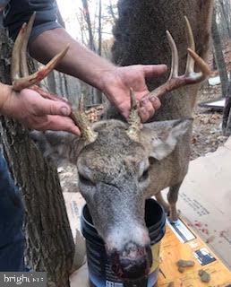 HAMILTON ESTATES - Land