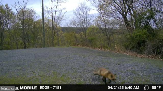 HAMILTON ESTATES - Land