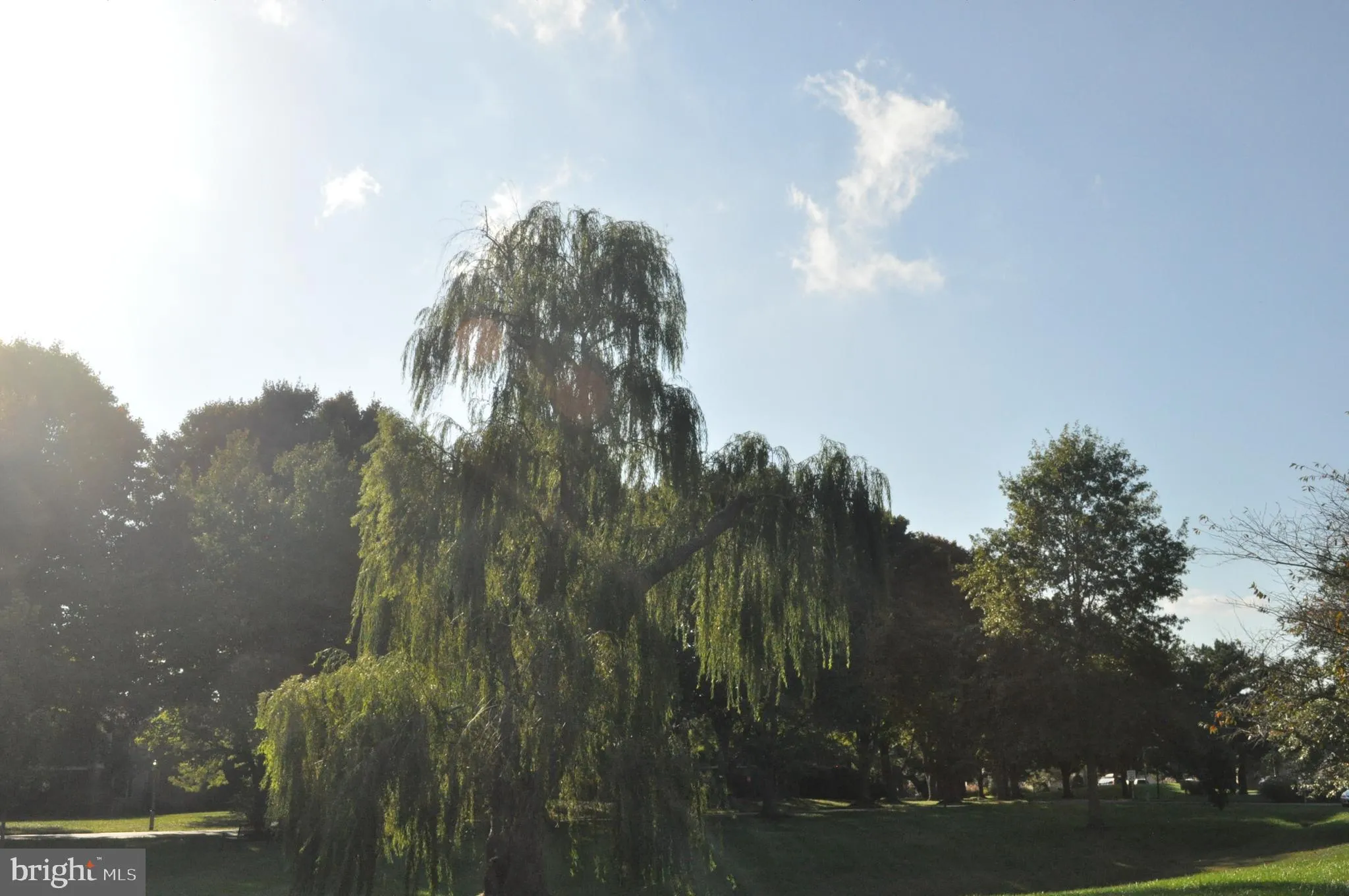 Lewes, Delaware 19958, United States, 3 Bedrooms Bedrooms, ,3 BathroomsBathrooms,Residential,Pending,40198