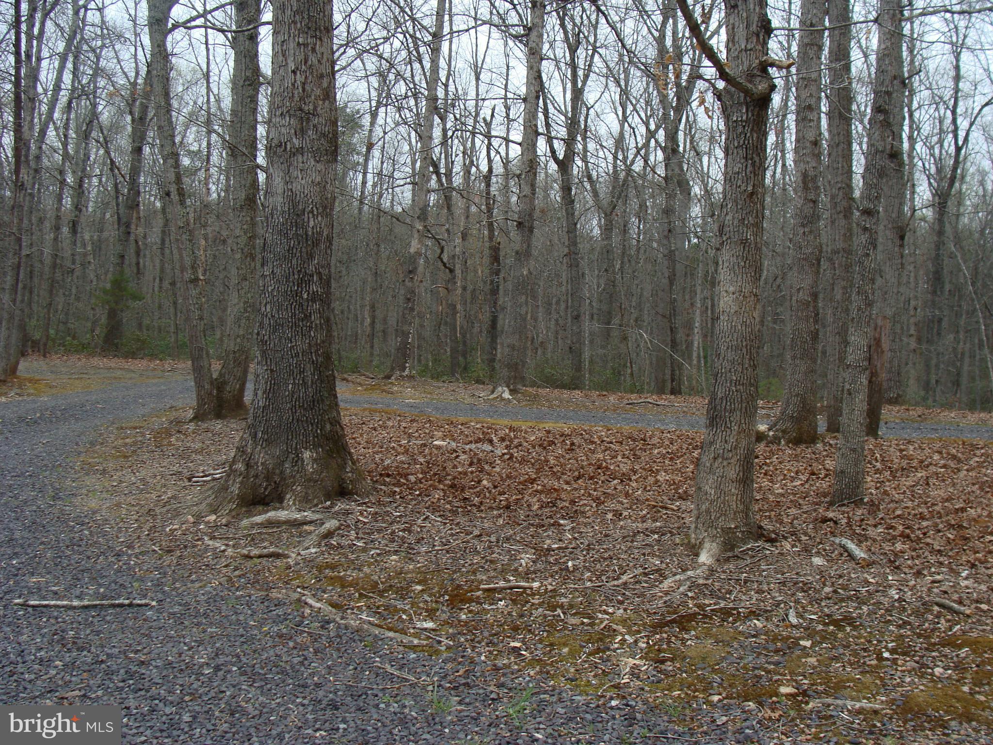 METES & BOUNDS - Residential Lease