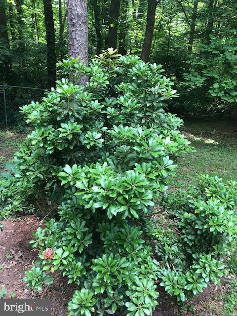 HOLLEYBROOKE - Residential