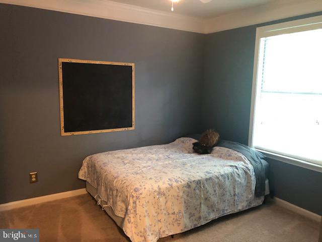 HOLLEYBROOKE - Residential