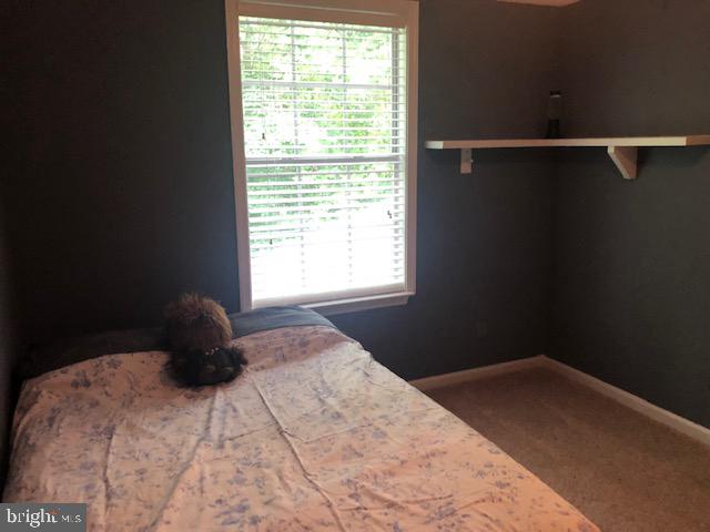 HOLLEYBROOKE - Residential