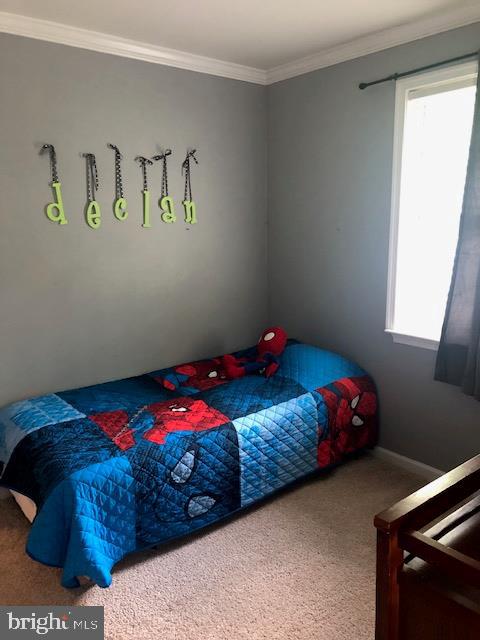 HOLLEYBROOKE - Residential