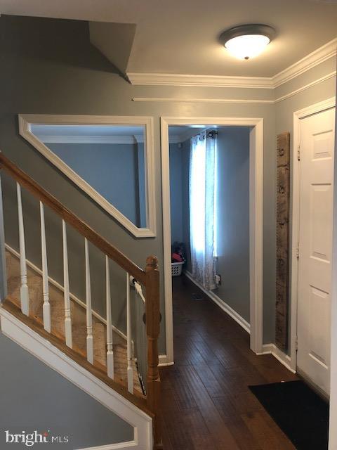 HOLLEYBROOKE - Residential