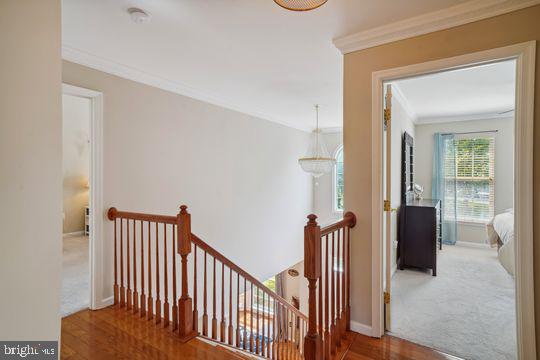 FOUNTAIN HILLS - Residential