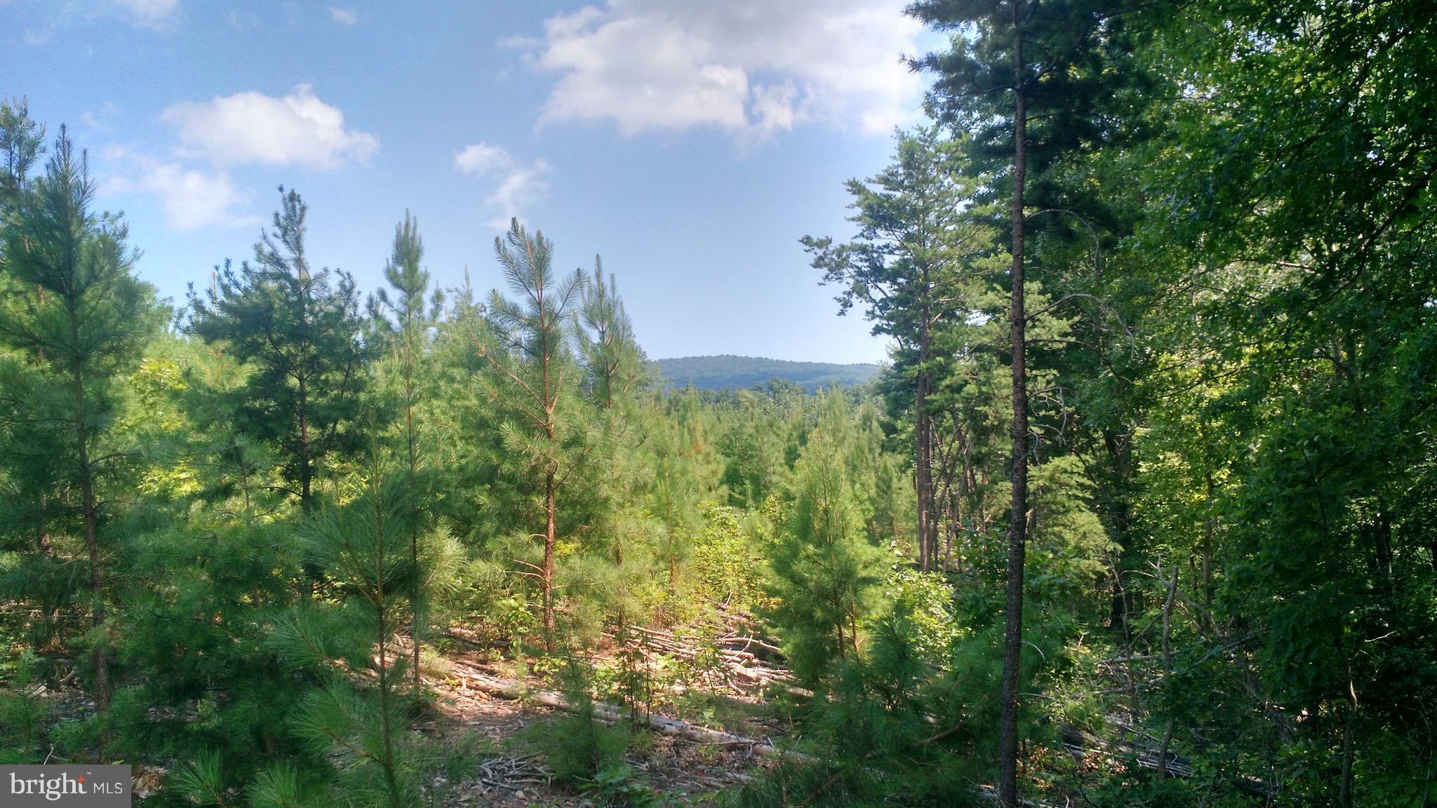 NONE AVAILABLE - Land