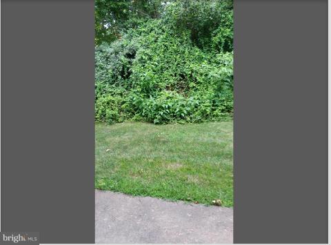 SHADOWOOD - Residential Lease