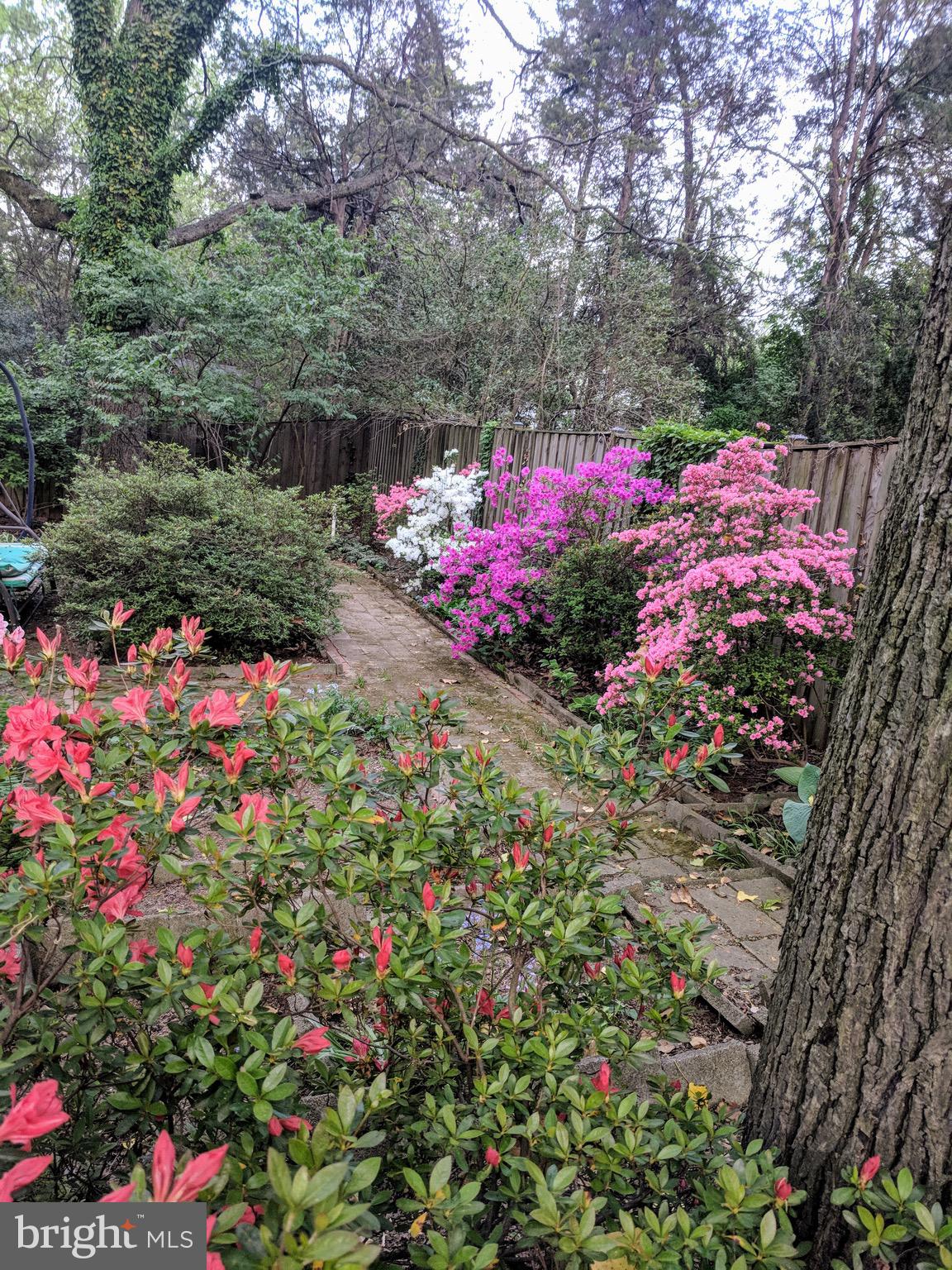 SLEEPY HOLLOW WOODS - Residential