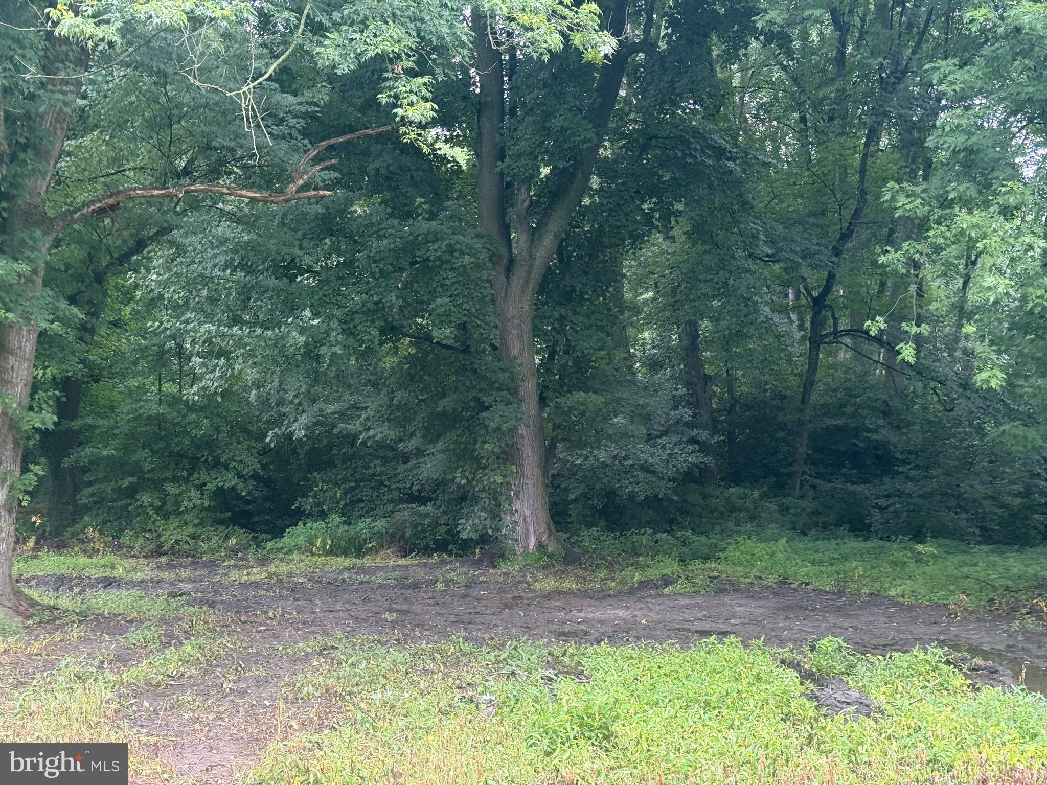 10440 BURRSVILLE BRANCH ROAD