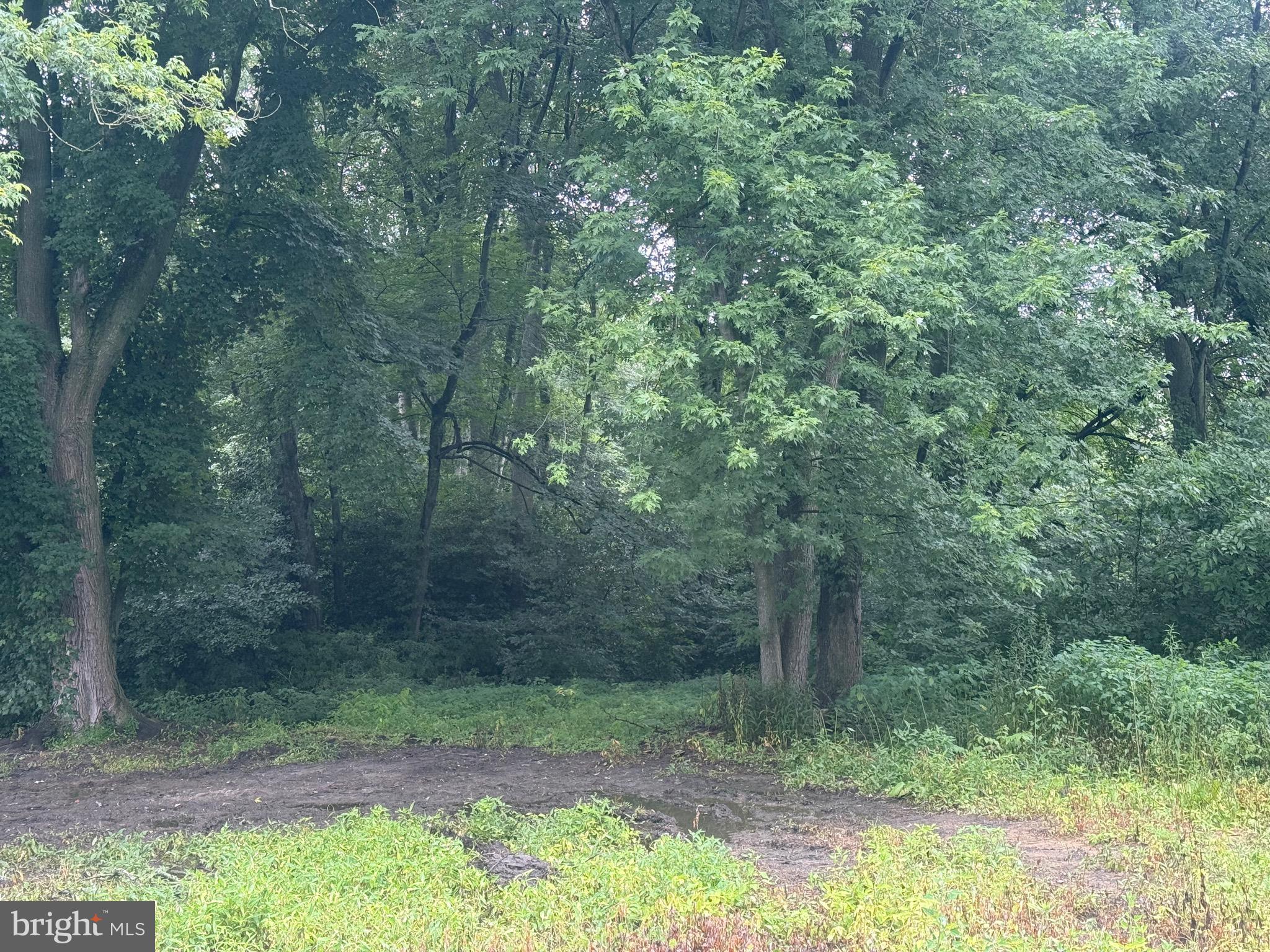 10440 BURRSVILLE BRANCH ROAD