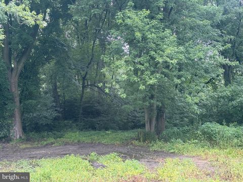 Vacant Land For Sale - 10440 Burrsville Branch Road<br/> DENTON, MD 21629