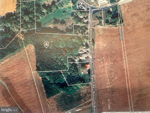 Vacant Land For Sale - 10440 Burrsville Branch Road<br/> DENTON, MD 21629