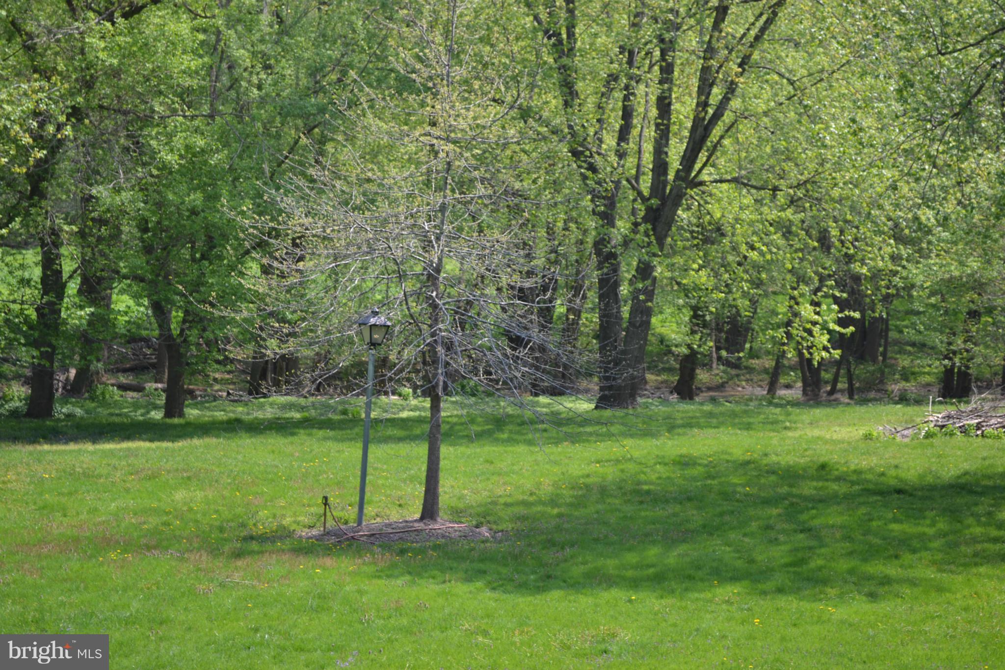 POTOMAC - Residential Lease