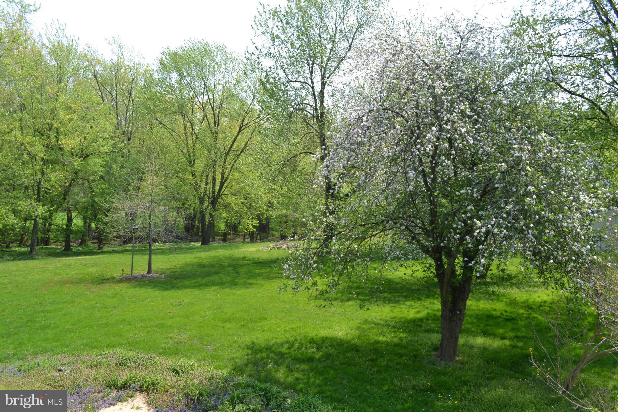 POTOMAC - Residential Lease