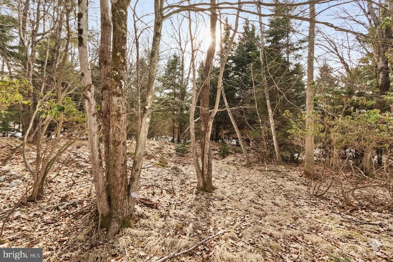 POCONO COUNTRY PLACE - Residential