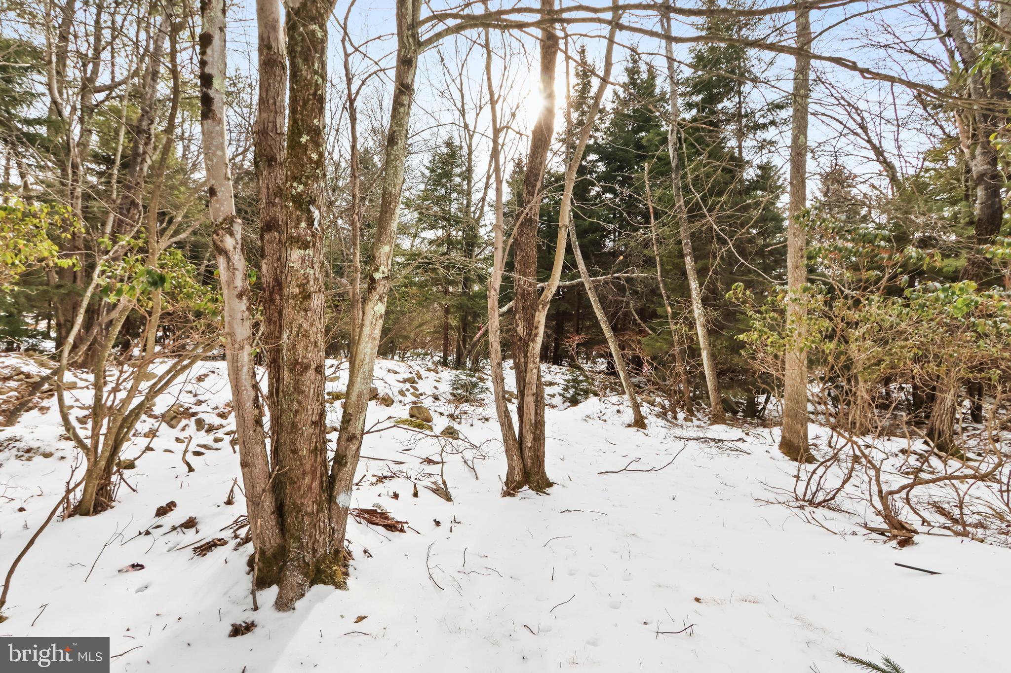 POCONO COUNTRY PLACE - Residential