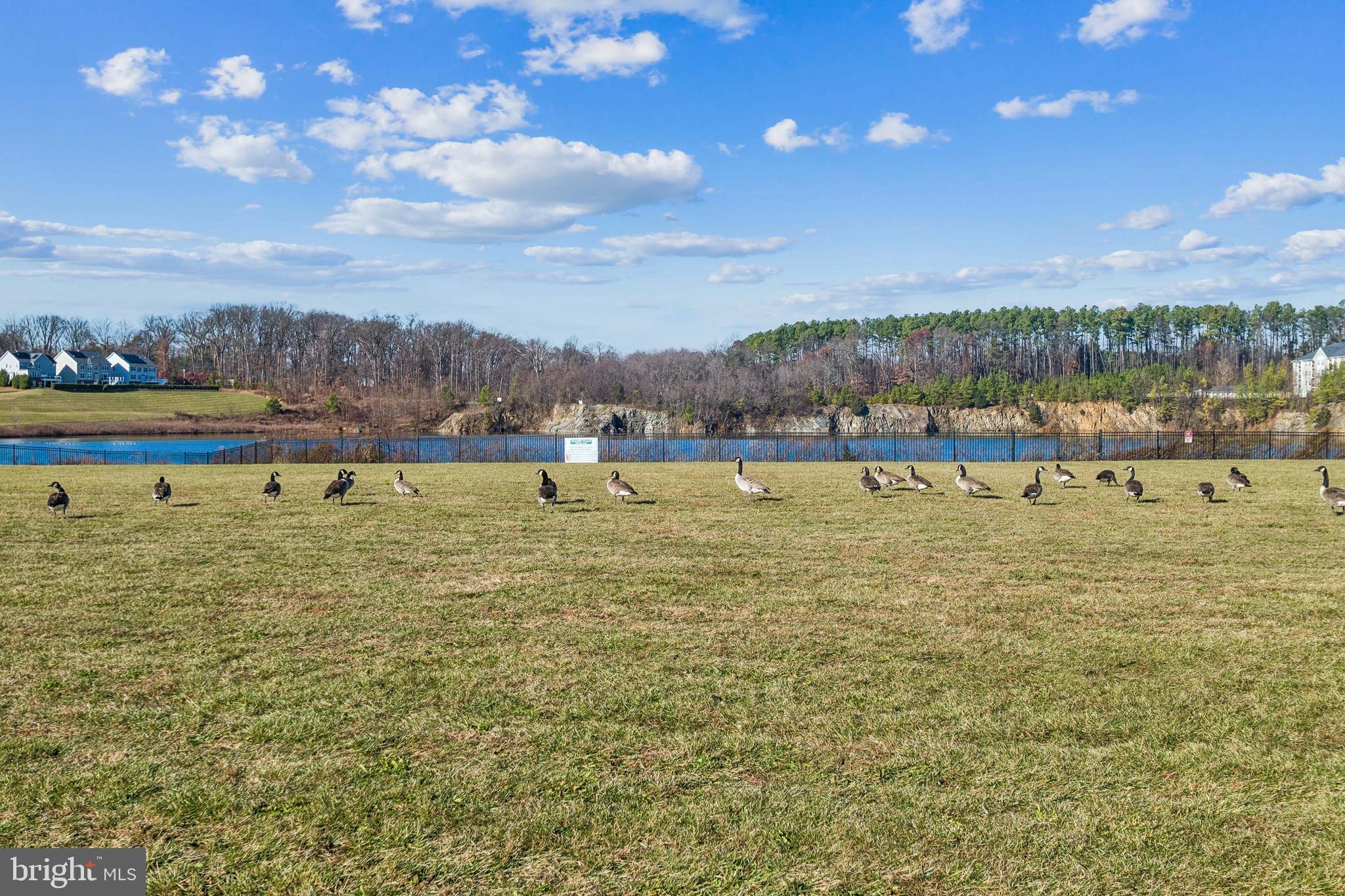 QUARRY PLACE - Residential