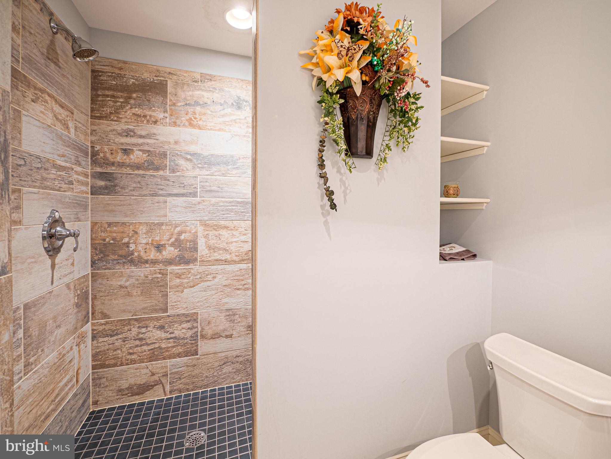 BLUE RIDGE ESTATES W - Residential