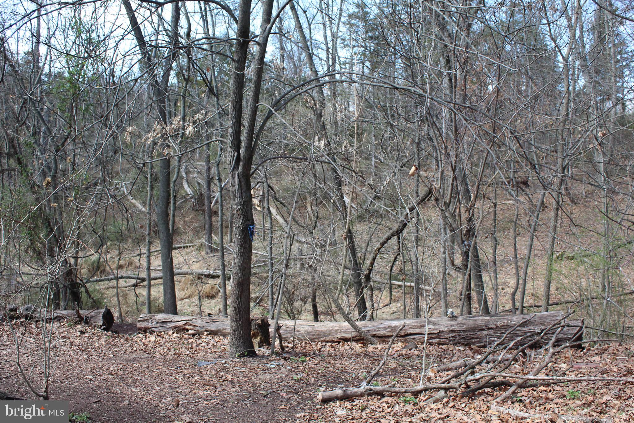 475 TOWNSHIP LINE ROAD