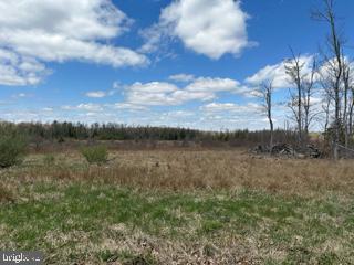 MT STORM, WV - BUILD YOUR NEW GETAWAY ON THIS 10.13 ACRES TRACT WITH TONS OF FRONTAGE ON CHERRY RIDGE ROAD. PARTIALLY WOODED. LEVEL TO GENTLY-GRADUAL SLOPED TOPOGRAPHY. PUBLIC WATER AND ELECTRIC ON SITE! UNRESTRICTED! PER TEST APPROVED. SHORT DRIVE TO CORRIDOR H (RT.48) AND MT STORM LAKE. VERY CLOSE PROXIMITY TO MOUNTAINTOP HUNT CLUB.