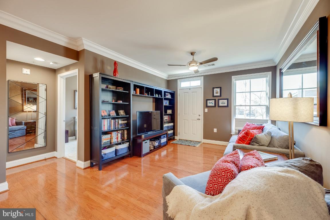 1115 CAMERON STREET 114