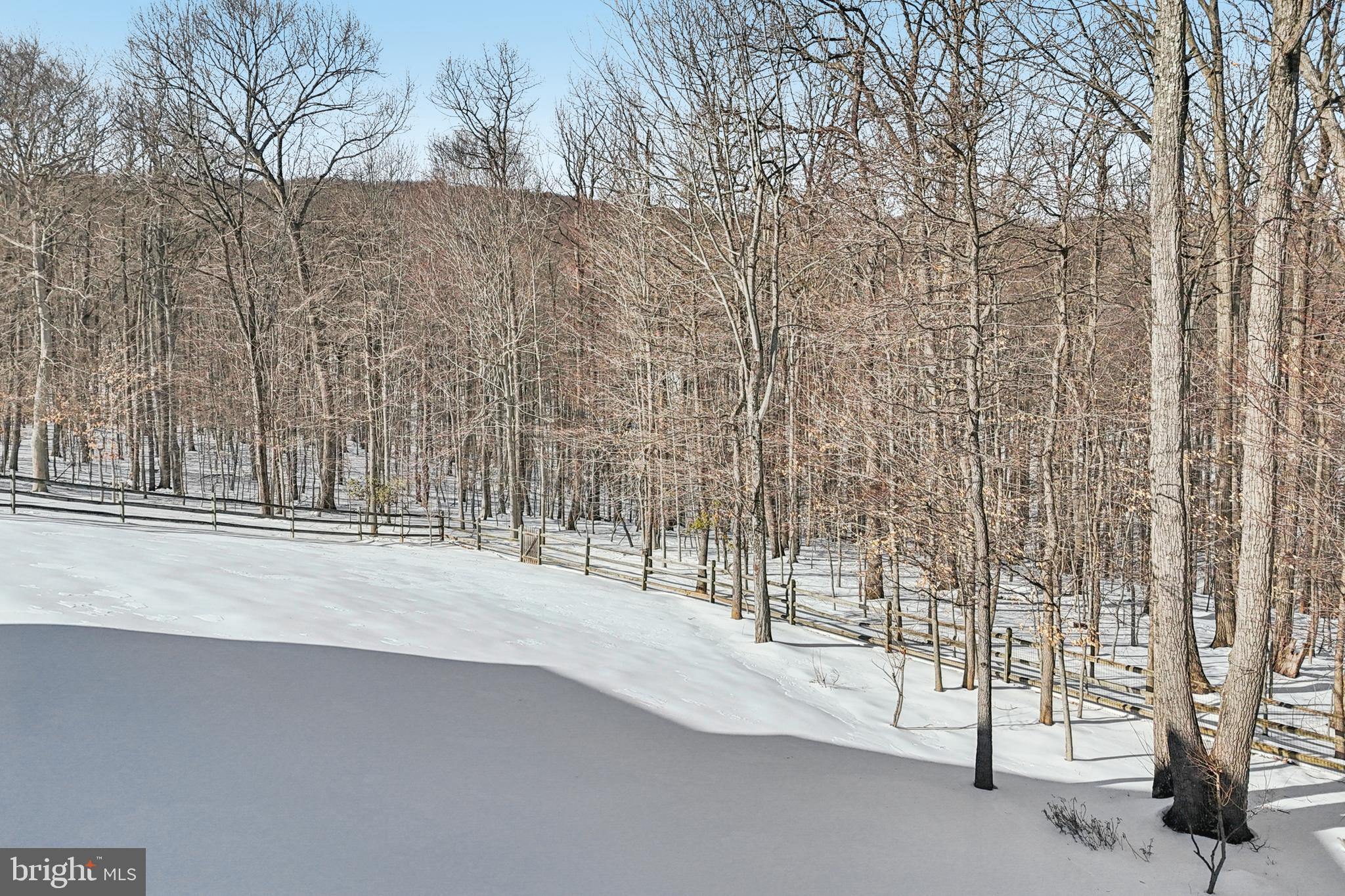 HISTORIC SELMA ESTATES - Residential