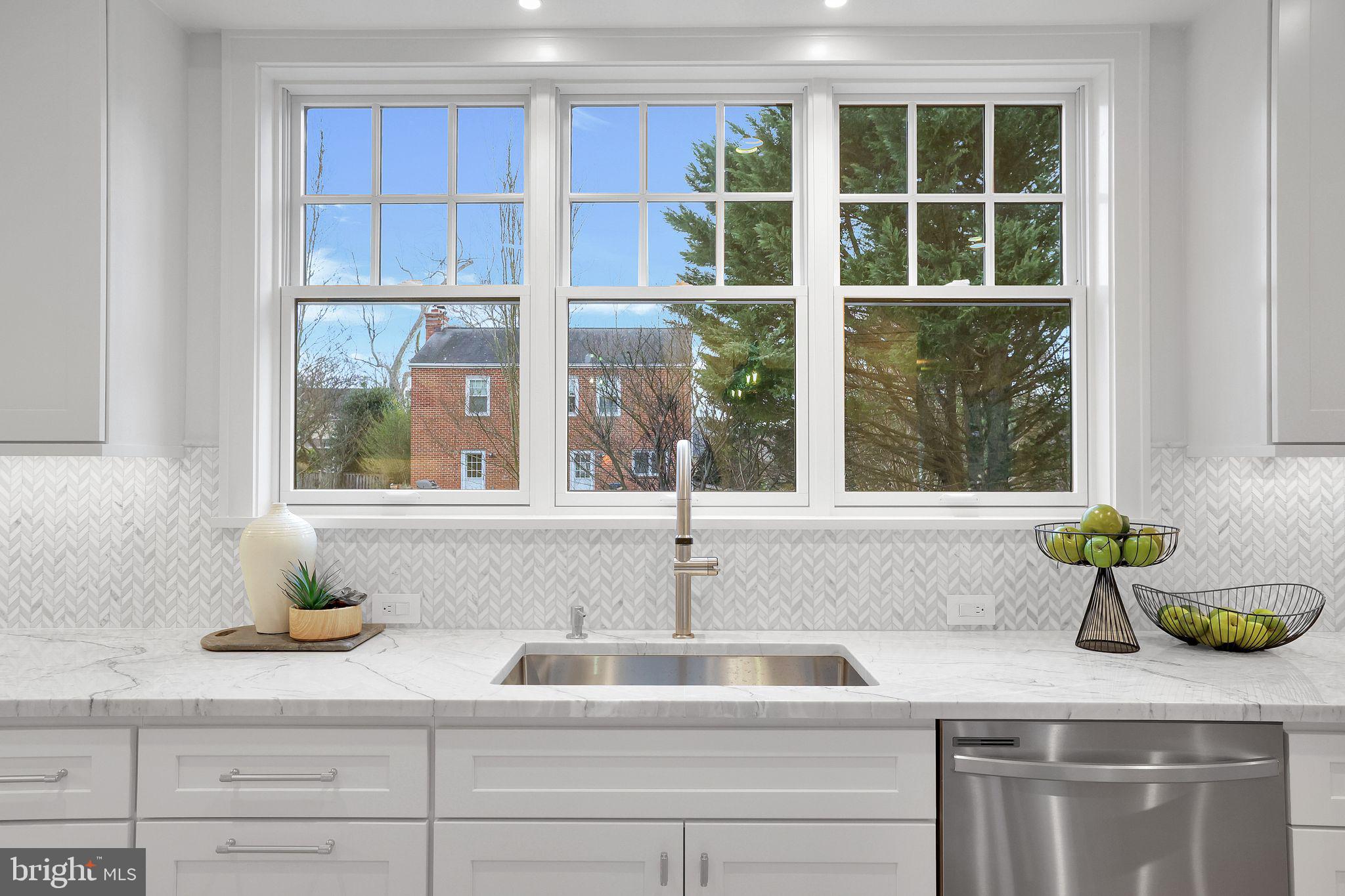 CHEVY CHASE VIEW - Residential