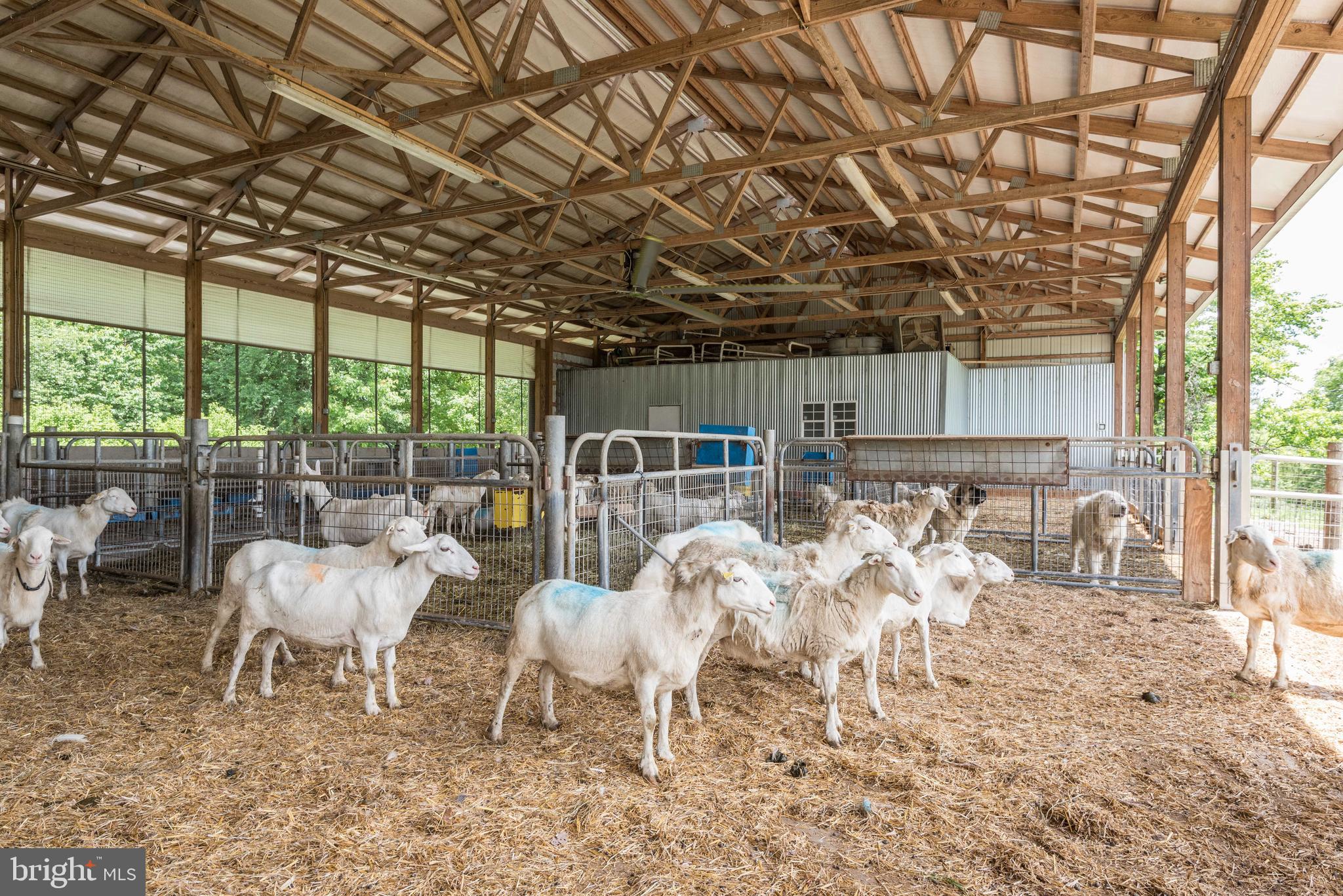 BARNESVILLE OUTSIDE - Residential