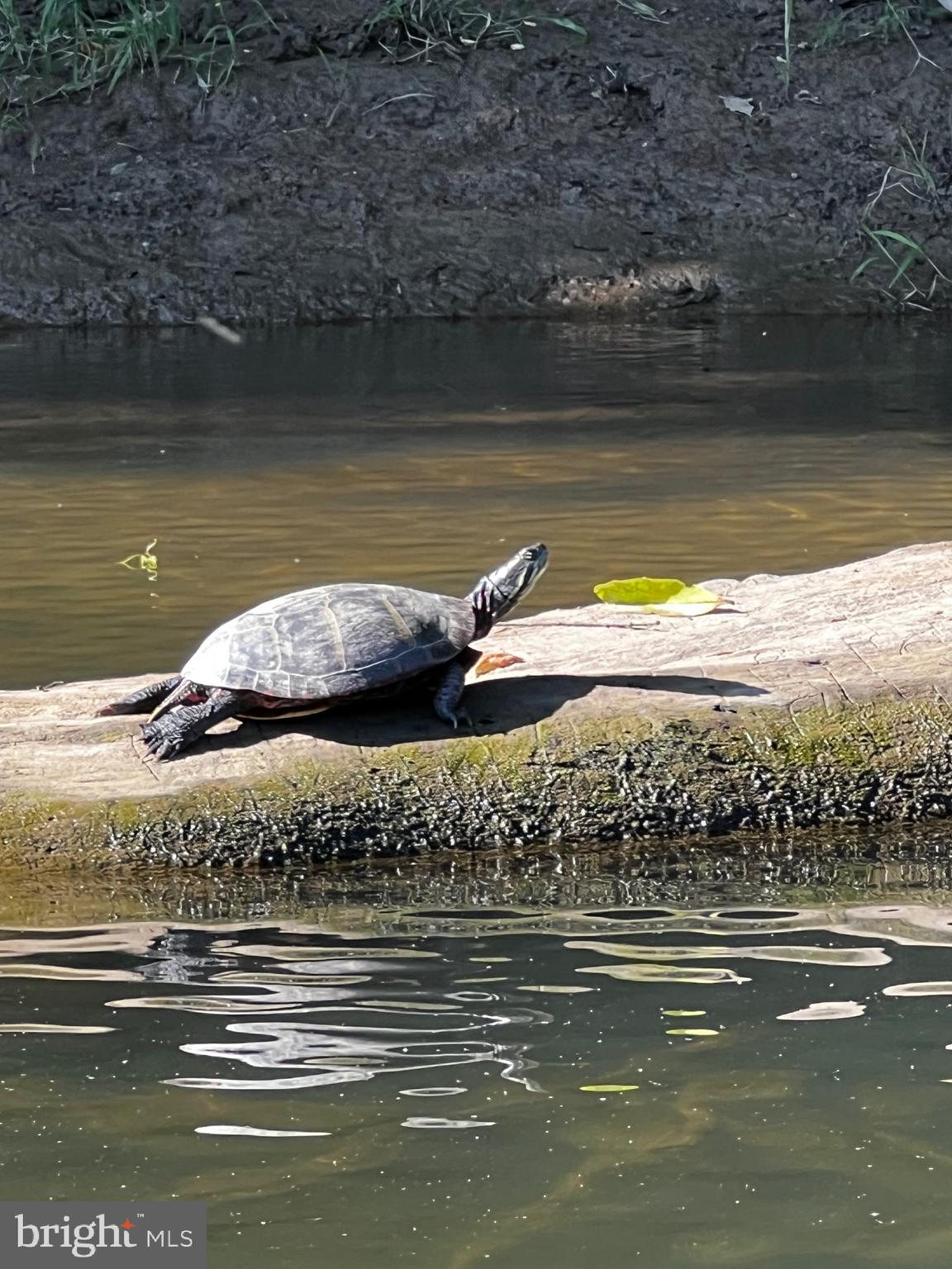 LANSDOWNE ON THE POTOMAC - Residential