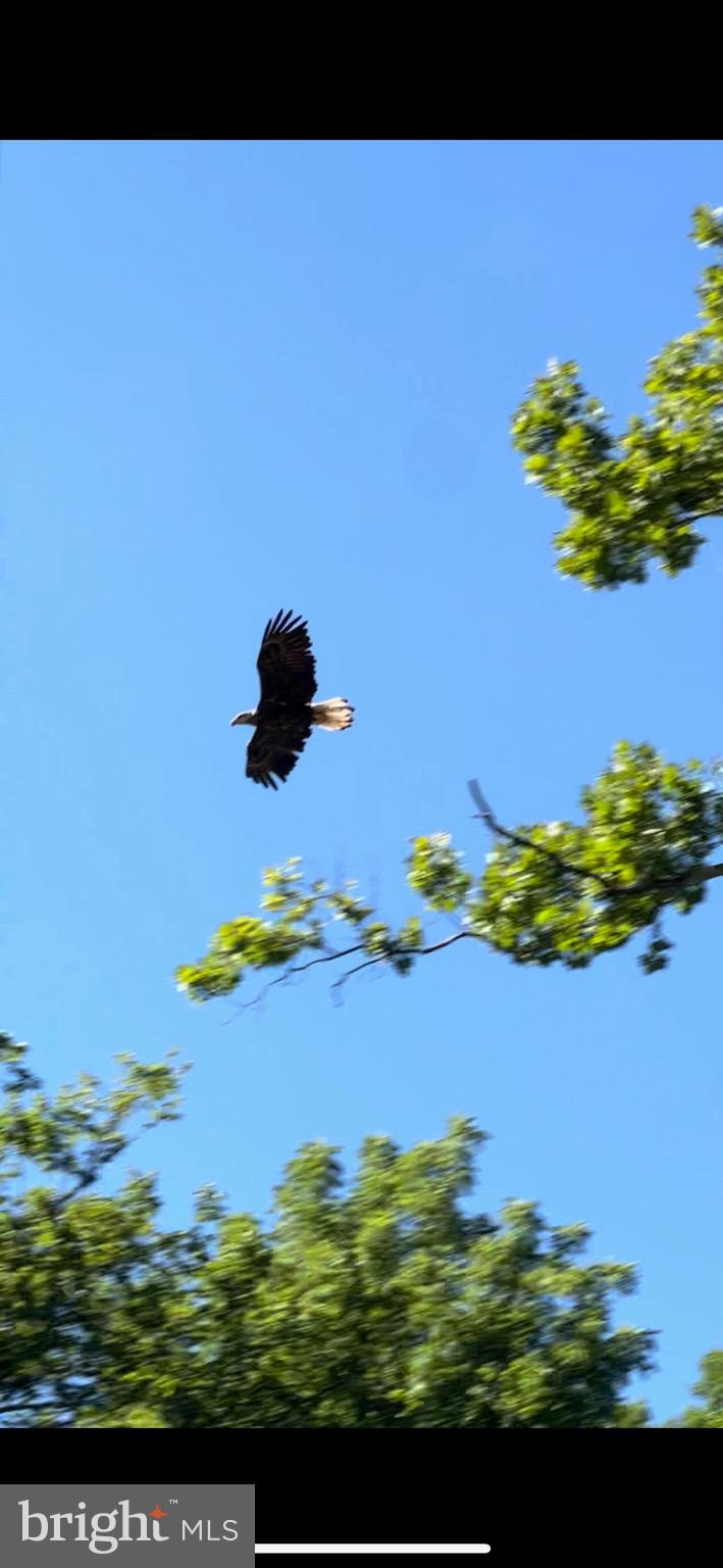 LANSDOWNE ON THE POTOMAC - Residential