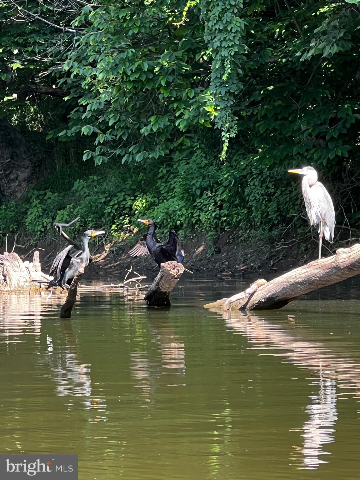 LANSDOWNE ON THE POTOMAC - Residential