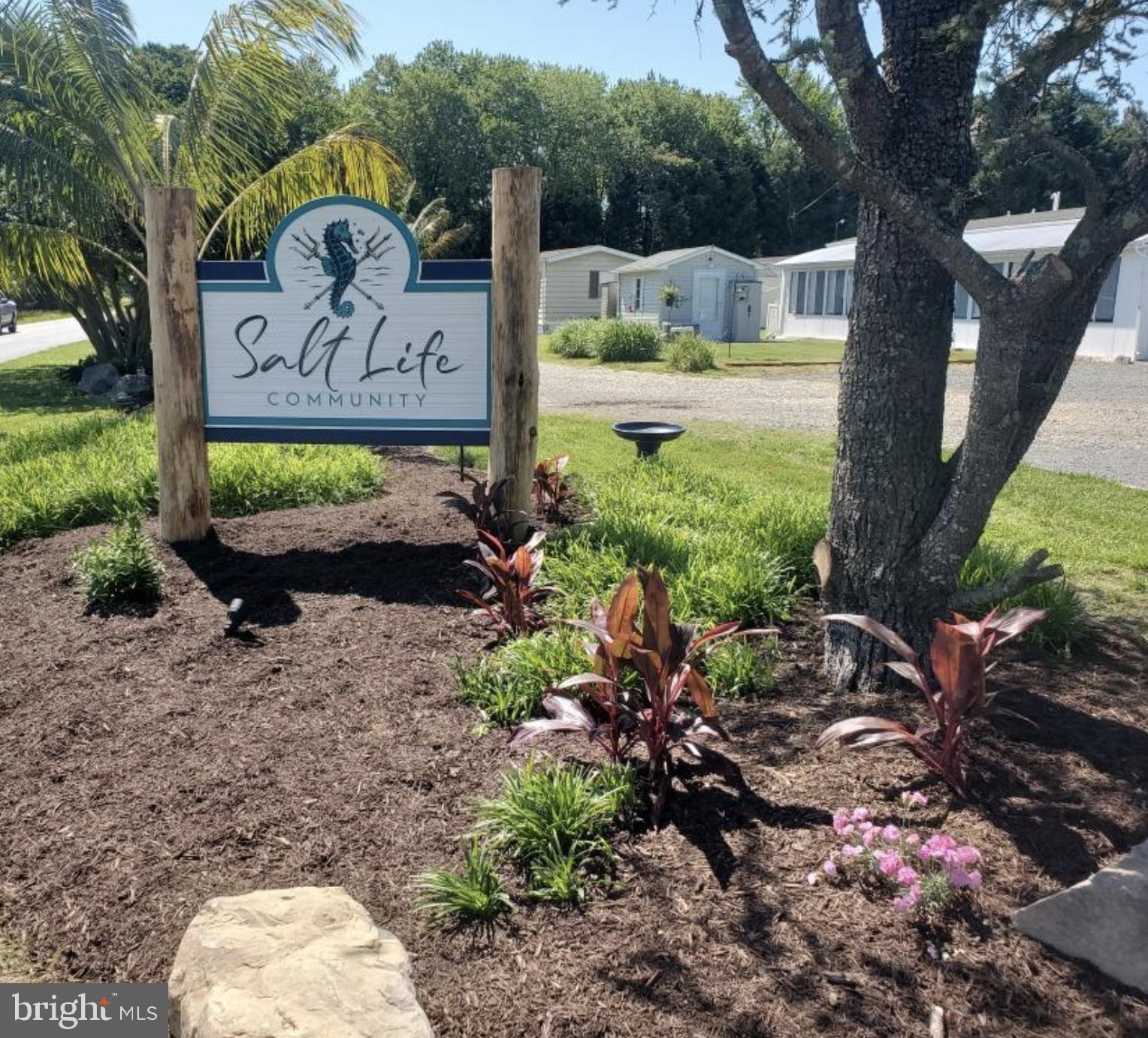 SALT LIFE PARK LLC - Residential