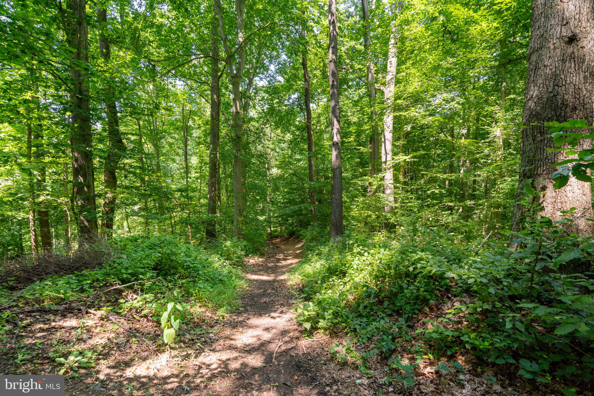 WINTERS RUN MANOR - Residential