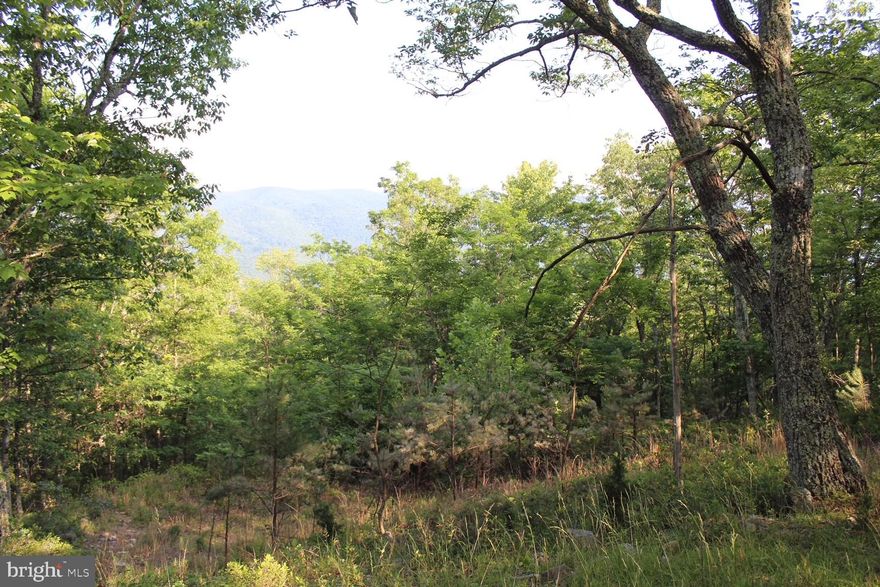 5 acres, High Valley Subdivision, road and building spot was cleared.  Nice view of the West Virginia mountains.  Motivated Seller.