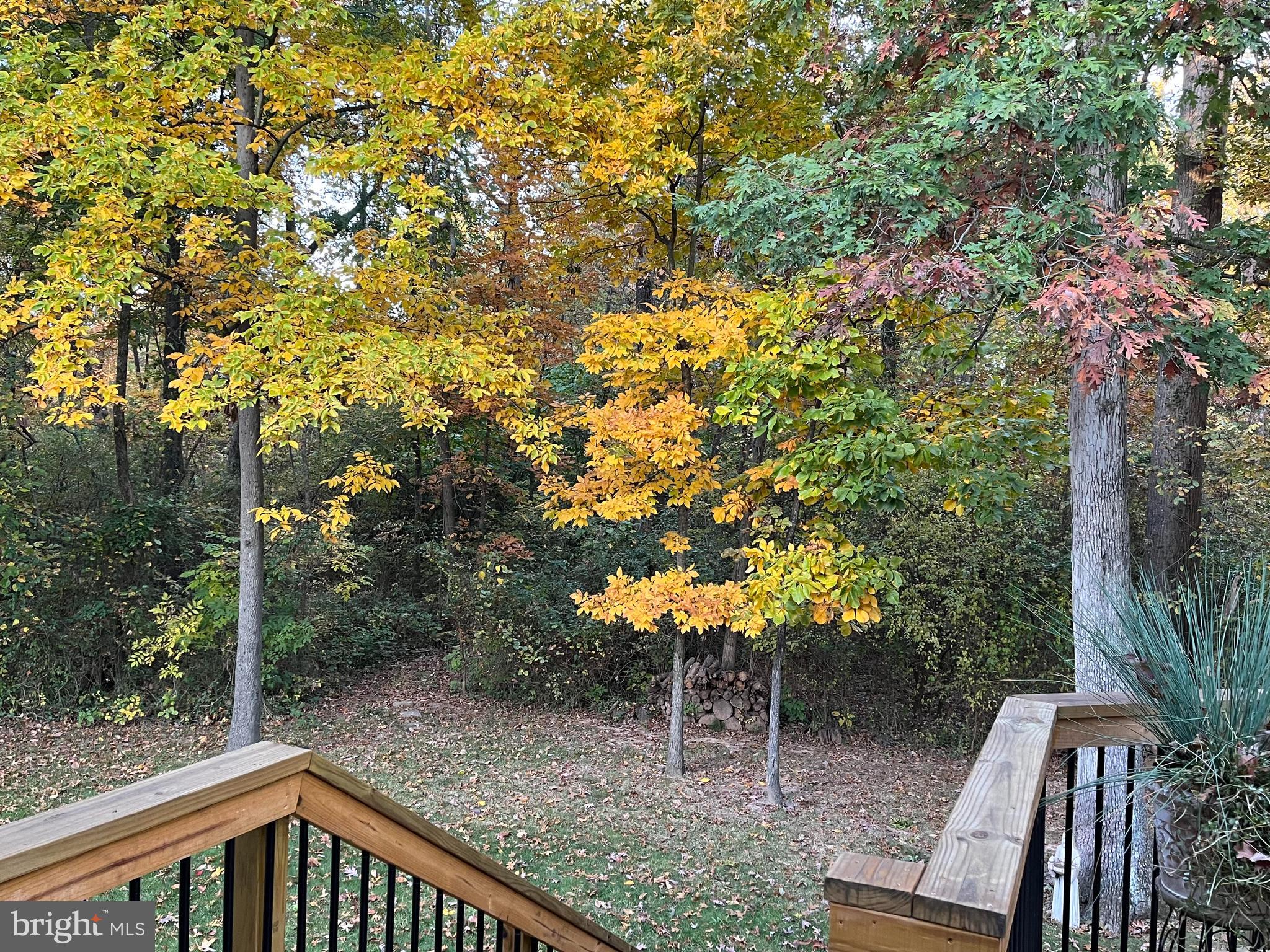 COUNTRYSIDE - Residential